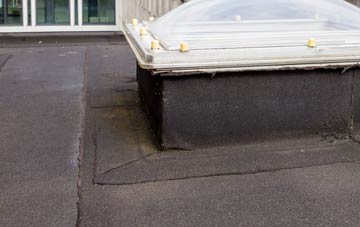 disadvantages of Worlaby flat roofs