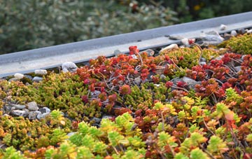 the cost of Worlaby green roof installation