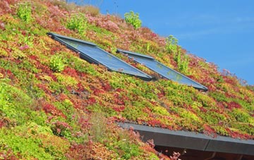 Worlaby living roof systems