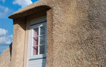 Worlaby thatch roof disadvantages